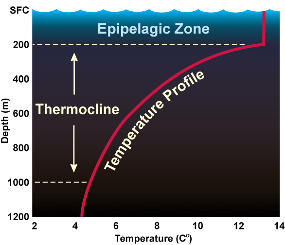 Deep Ocean Magnesium Mist - Image 7